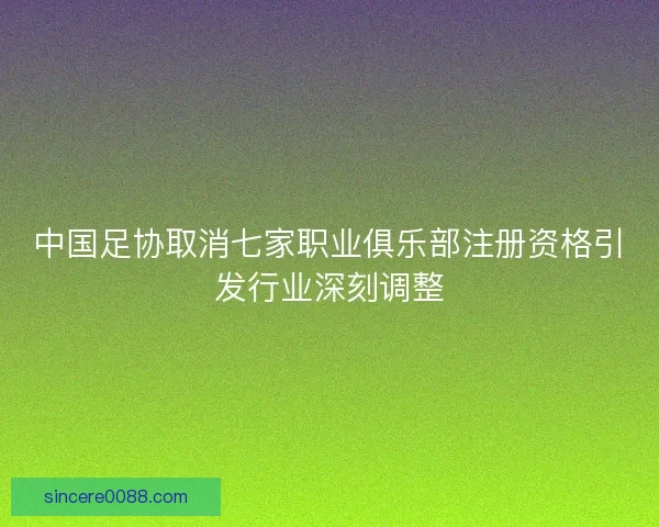中国足协取消七家职业俱乐部注册资格引发行业深刻调整 中国足协取消七家职业俱乐部注册资格引发行业深刻调整